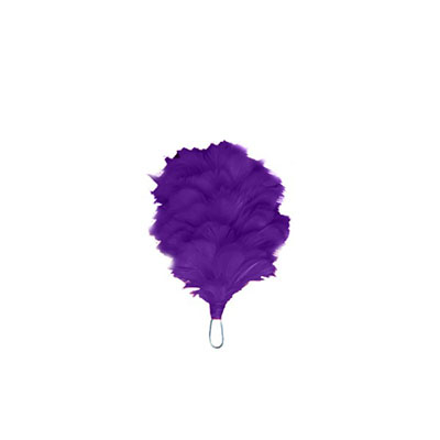Purple_Hackle_7_SCOTS